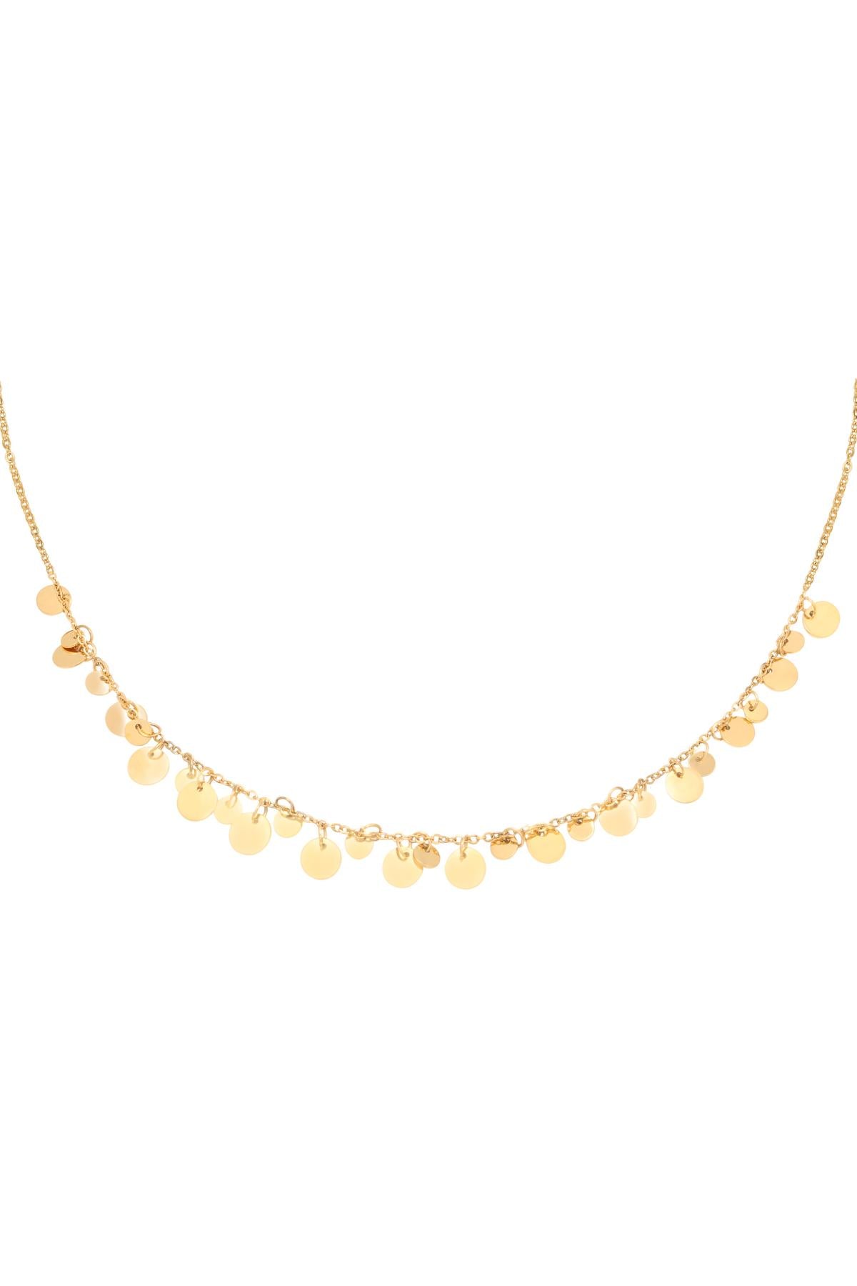 Full coins - ketting