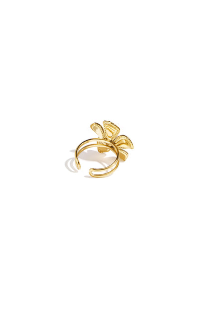 Tirza ring - goud