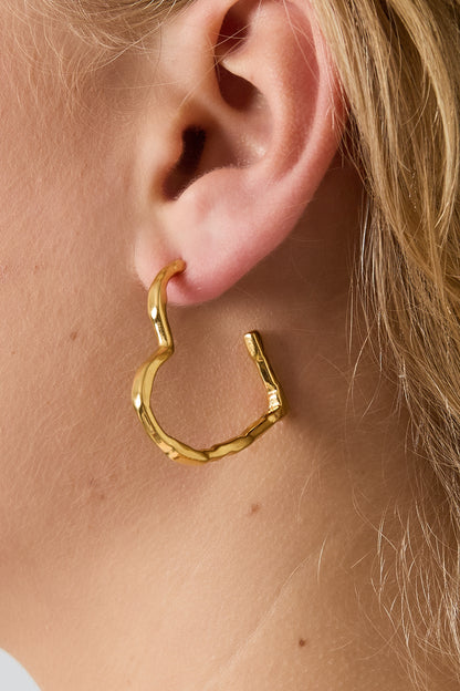 Niene oorbellen - zilver