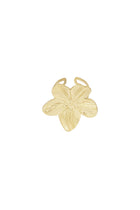 Indy ring - goud