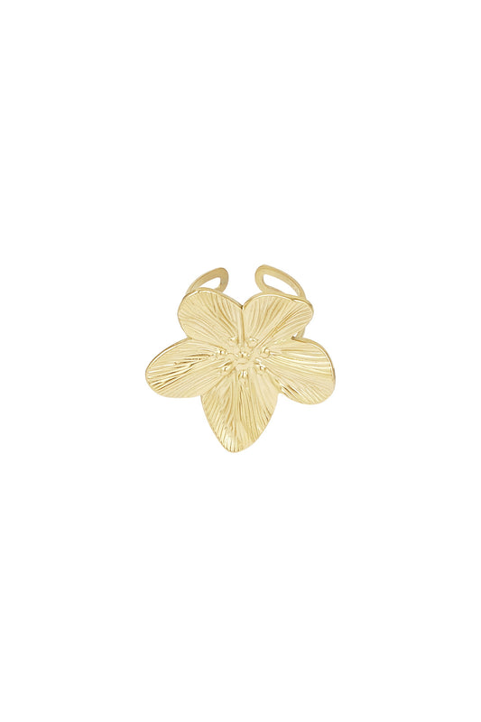Indy ring - goud