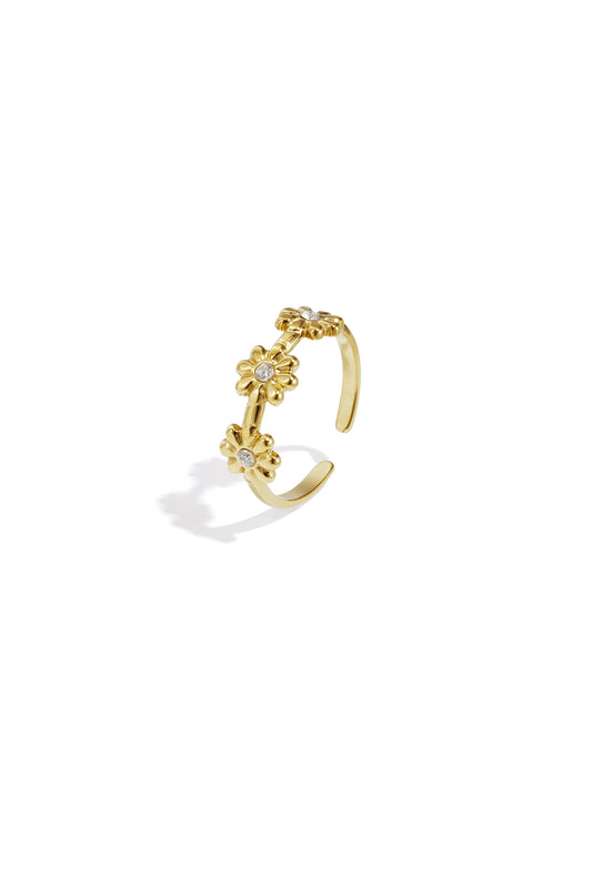 Aiden ring - goud