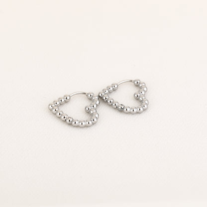 Ayden oorbellen - zilver
